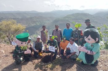 Personel Kodim 1608 menanam pohon di Bima