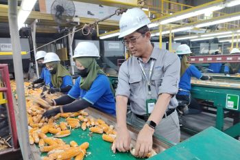 Perusahaan benih jagung dukung kedaulatan pangan