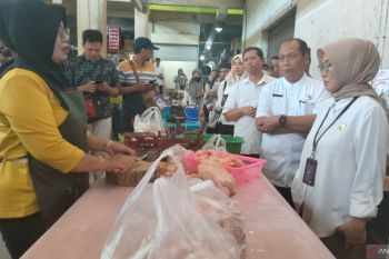 TPID DIY menjamin stok kebutuhan pokok di Kulon Progo cukup