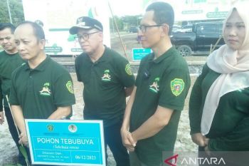 KLHK paparkan manfaat pohon untuk dukung peningkatan daya dukung alam