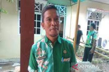 Dinas PMD Kapuas siapkan insentif bagi kader Posyandu Desa