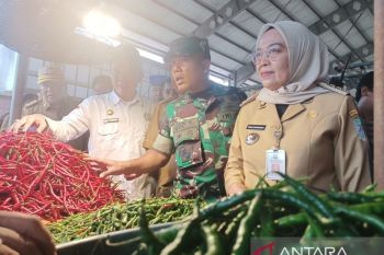 Jambi tingkatkan kerja sama daerah pasokan cabai