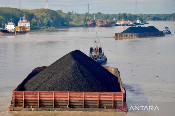 Memandang lalu-lalang "emas hitam" di Situs Geopark Meratus