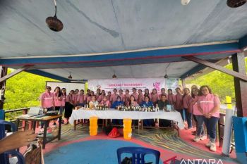 PLN Suluttenggo tingkatkan kualitas UMKM perempuan desa wisata DPSP