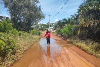 Waduh,  6.603 keluarga di Kabupaten Ketapang terdampak banjir