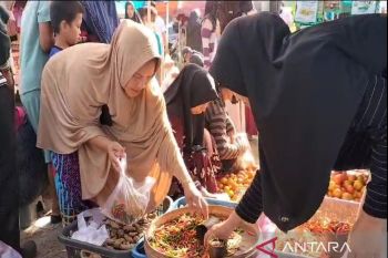 Harga cabai di Kolaka tembus angka Rp150 ribu per kilogram