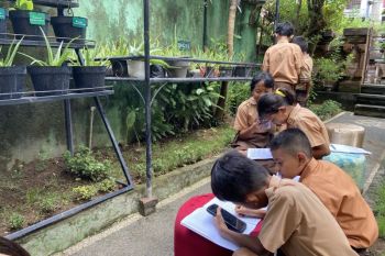 BRIN kaji kandidat antivirus dari tumbuhan obat tradisional