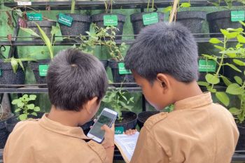 Manfaatkan HP agar siswa di Bali mengenal tanaman obat keluarga