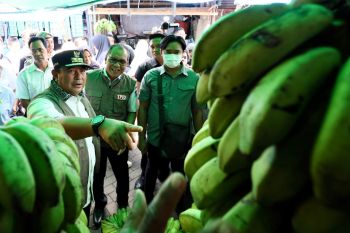 Pemprov Sulsel akan adaptasi Program MDC Makassar guna menjaga inflasi