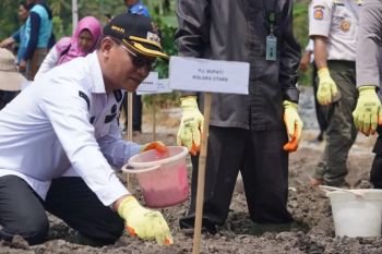 Pemda Kolaka Utara beri bantuan bibit bawang merah kepada petani