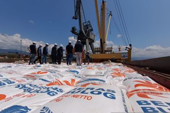 Bulog:  Sebanyak 12.500 ton cadangan beras penuhi kebutuhan pangan Sulteng