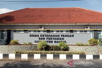 DKPP Bantul fasilitasi jual beli kambing dan domba di enam pasar kecil
