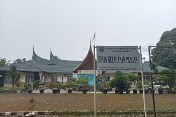 Pemkab Pasaman Barat sebut ketersediaan beras capai 1.842 ton