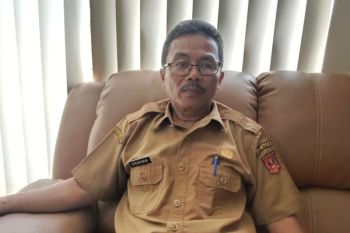 Puluhan hektare lahan pertanian Agam gagal panen dampak erupsi