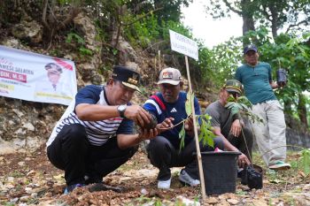 Masyarakat Bone meyakini tanaman sukun solusi peningkatan perekonomian