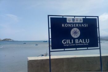 Gubernur NTB: Gili Balu jadi destinasi unggulan Sumbawa Barat