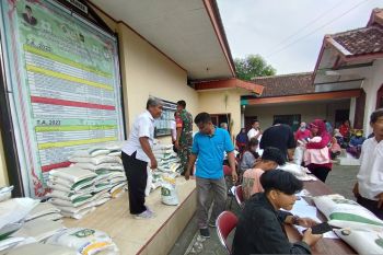 Dinsos Kulon Progo salurkan bantuan beras kepada 55.919 KPM