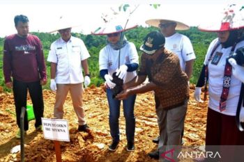 Otorita IKN gandeng ANTARA dan mitra untuk kembalikan kejayaan buah lokal