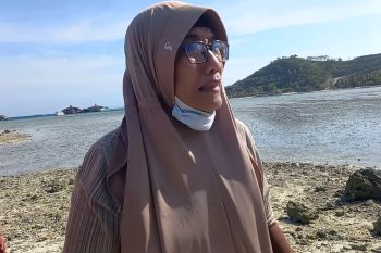 28 petani kerapu mohon hakim kabulkan gugatan perusakan tambak oleh Pelindo