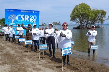 Protelindo melibatkan instansi pemerintah tanam 35 ribuan mangrove
