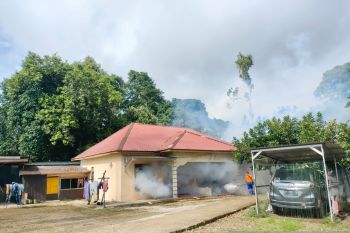 Puskesmas Paringin berantas DBD melalui fogging
