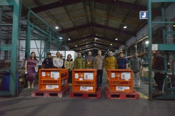 Indonesia pulangkan tiga orang utan dari Thailand