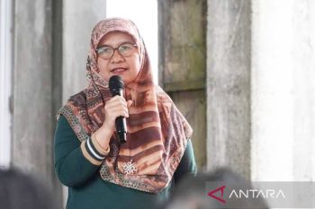 Produksi cabai di Padang Panjang terus turun