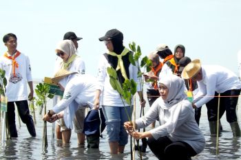 Gubernur Khofifah ajak warga tanam dan rawat pohon