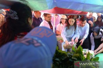 Gibran kampanye "blusukan" ke Pasar Batu Cermin di Labuan Bajo