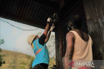 PLN promosi tambah daya Tahun Baru hanya Rp271.023