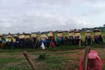 Arnanto: kemitraan petani tebu dengan pabrik gula perlu diperkuat