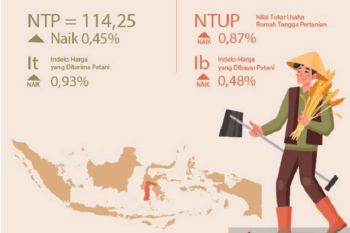 BPS mencatat NTP Sulsel naik 0,54 persen pada Desember 2023
