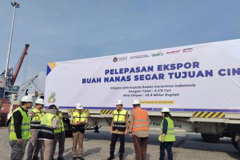 BPS: Nilai ekspor Lampung Januari-November 2023 capai 4,27 miliar dolar AS