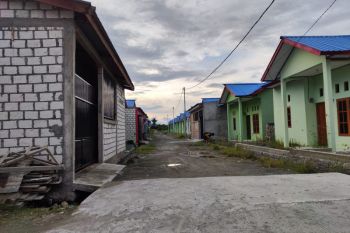 REI usulkan tambahan kuota rumah subsidi di Papua