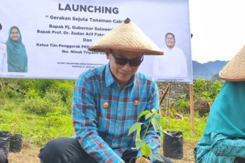 Pemprov Sulbar meluncurkan gerakan tanam sejuta cabai
