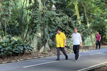 Pertemuan Jokowi-Airlangga di tengah rasa nyaman dengan Golkar