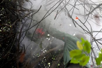 Terdampak hujan, harga madu hutan naik