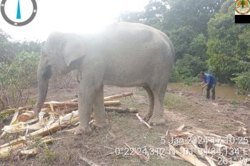 TWA Buluh Cina tutup sementara lantaran banjir