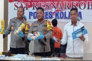 Polres Kolaka tangkap dua pengedar 1,2 kilogram sabu