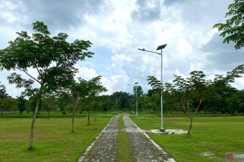 PalmCo Regional 3 manfaatkan solar cell akselerasi program dekarbonisasi