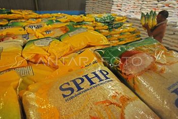 Sebanyak 502.476 keluarga di NTB dapat beras gratis selama enam bulan