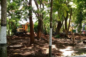 Mataram sediakan lahan untuk penataan PKL Udayana