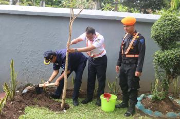 KAI  Purwokerto tanam 100 bibit pohon di sejumlah stasiun