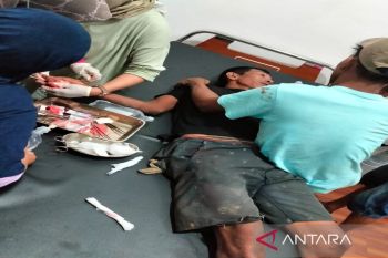Buaya serang anak hingga tewas di Desa Pantai Kotabaru