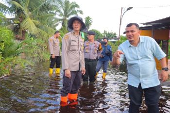 75 TPS di delapan kecamatan di Rokan Hilir terendam banjir