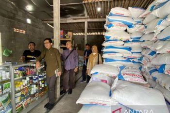 Dinas Pertanian Kulon Progo data petani dapat subsidi pupuk