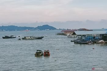 Penajam percantik wajah kabupaten sebagai serambi  Kota Nusantara
