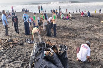 Koalisi Indonesia Maju Kulon Progo menggelar bersih Pantai Mlarangan