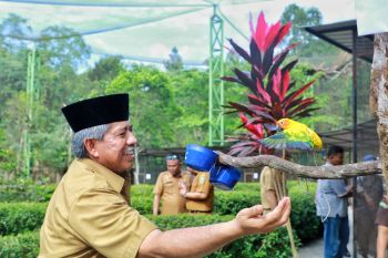 Ada taman wisata berisi 21 jenis burung di Siak