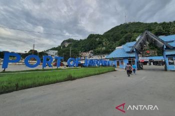 BPS: Impor non migas Papua senilai 507,54 juta dolar AS pada 2023